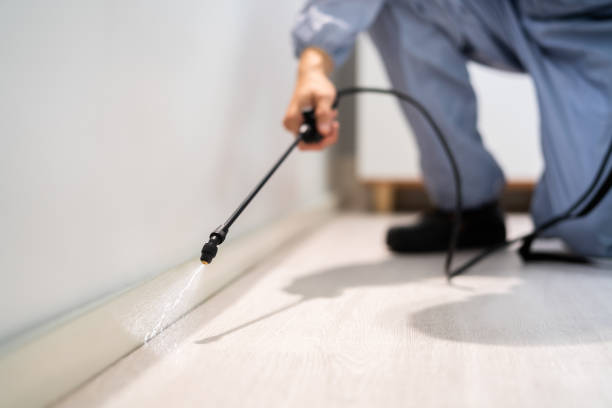 Licensed Mosquito Control service in Syracuse, KS - Show Me Pest Control