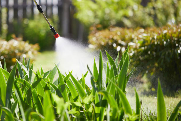 24/7 Emergency Mosquito Control experts in Syracuse, KS