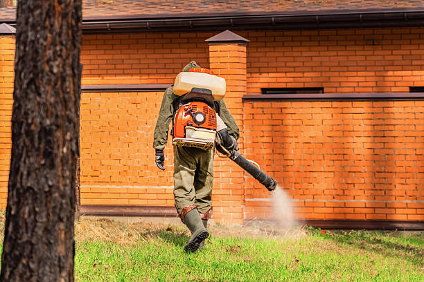 Top rated local Mosquito Control specialists in Syracuse, KS